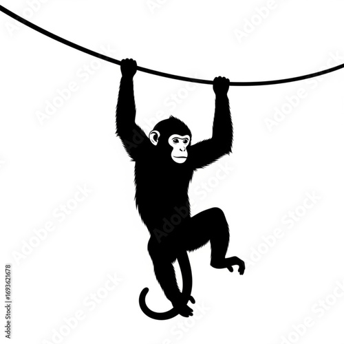 Black silhouette of a monkey hanging from a vine isolated on white background silhouette