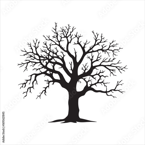 Classic bare tree silhouette with a full round shape and dense leafless branches.. Isolated black and white vector illustration for any season.