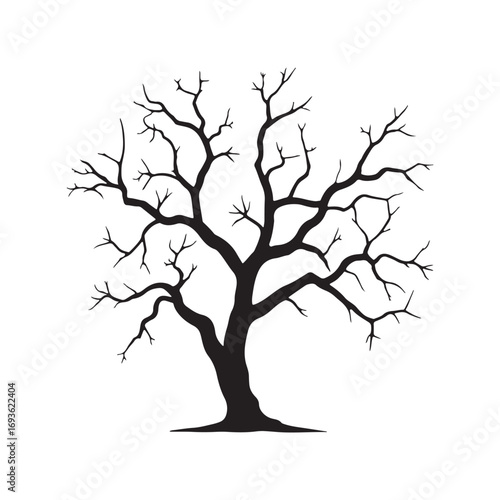 Wide spreading bare tree silhouette with a large canopy of leafless branches.. Black and white vector drawing for landscape or nature scenes.