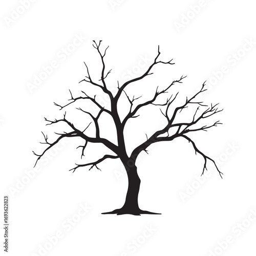 Simple bare tree with thin branches design element.. Isolated black and white botanical artwork for abstract or environmental concepts.