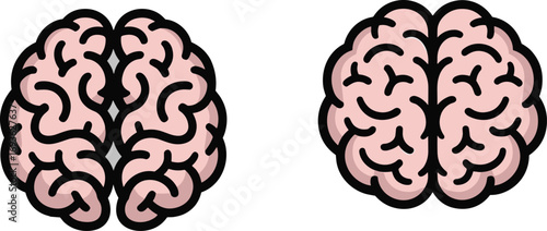 Human brain vector illustration, cartoon style brain icon, neuroscience concept image, pink brain clipart, education, health, memory, science graphic
