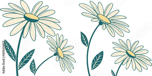 Hand drawn illustration of white daisies with green stems and leaves