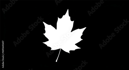 Simple white silhouette of a single autumn leaf on black background.