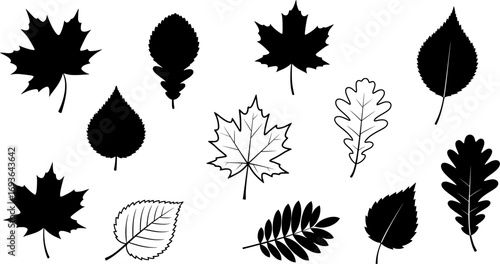 Minimal autumn leaves set, black and white, eps vector.