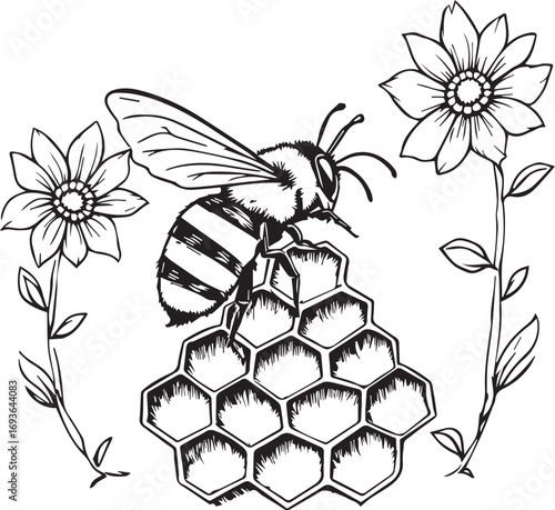 “The Wing That Didn’t Just Work, It Wove Sweetness”

“Hive of Heartbeats: A Geometry of Grace”