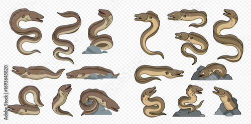 A collection of cartoon vector illustrations depicting various eels in different swimming, coiled, and resting poses, isolated on a transparent background.