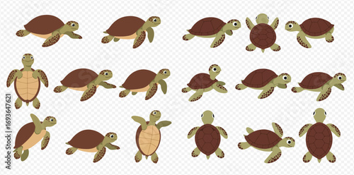 Cartoon sea turtles in various swimming and crawling poses, depicted from multiple angles including top, side, and bottom views.