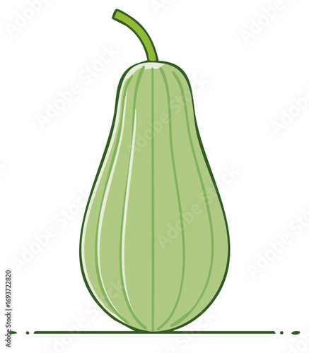 Chayote Squash Illustration Fresh Vegetable Garden Produce Icon Element