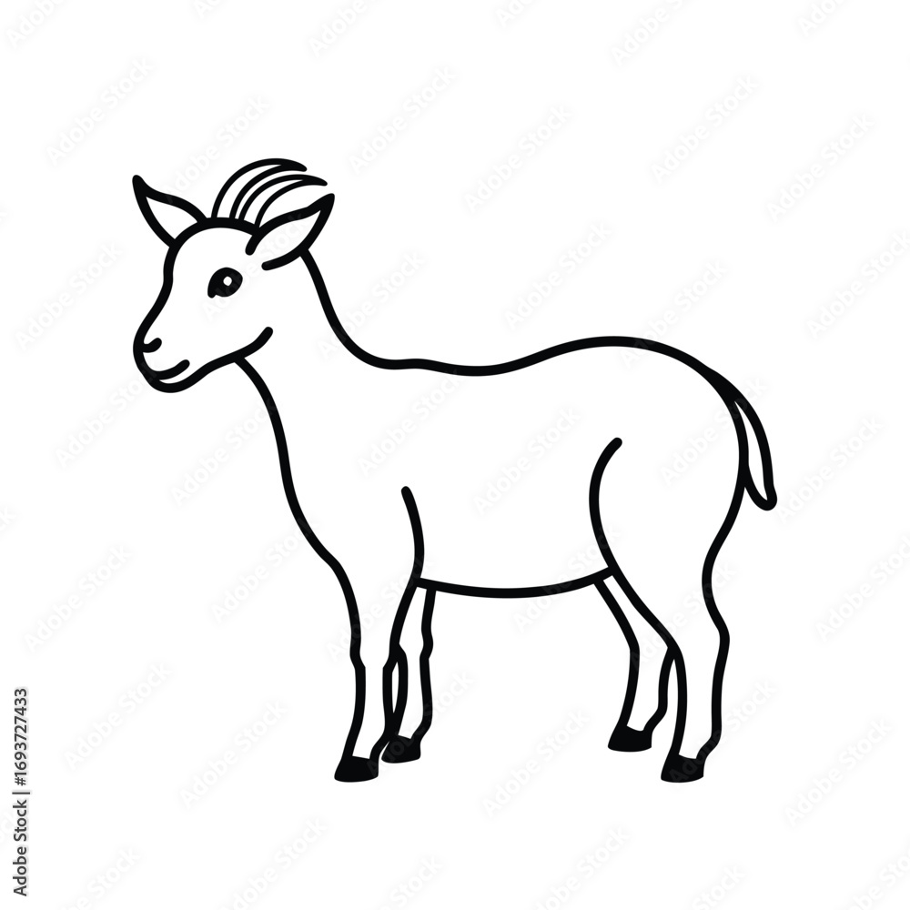 Fototapeta premium Goat with curved horn outline drawing