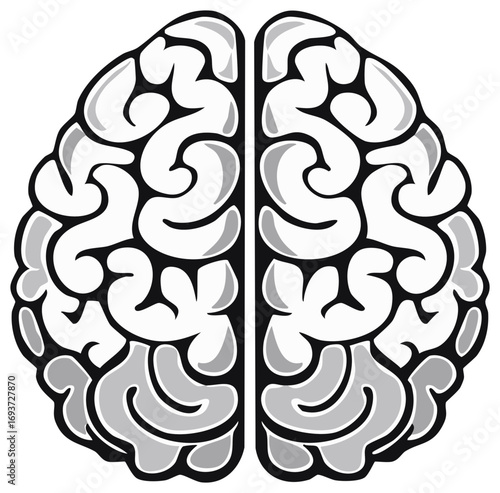 Human Brain Illustration, Cerebral Cortex Organ, Frontal Lobes Anatomical Structure, Mind