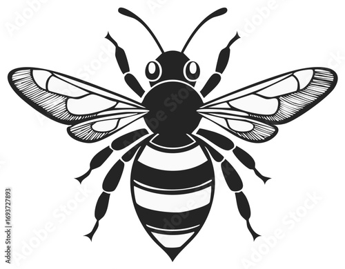 Black and white illustration of a bee with striped abdomen and detailed wings