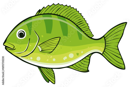 Stylized Green Fish Illustration with Stripes and Spots