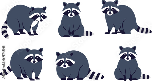 Set of flat raccoon vector illustrations in various cute poses, ideal for wildlife, forest animal themes, and cartoon design projects.