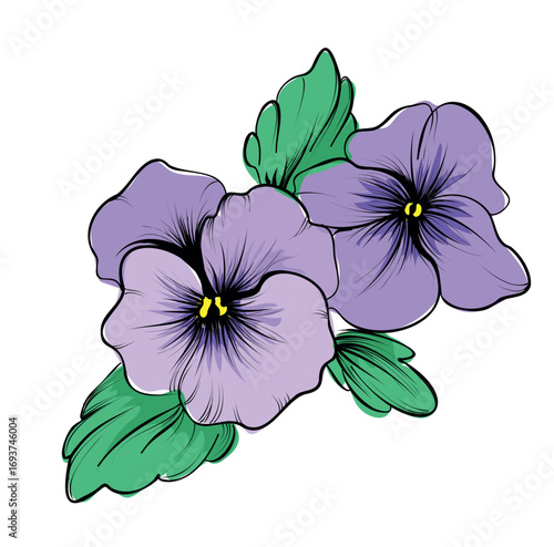 Purple pansy flowers hand drawn vector illustration