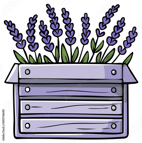 Purple lavender flowers blooming in a light purple wooden planter box with visible wood grain texture