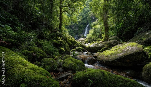 Lush forest waterfall scene (1)