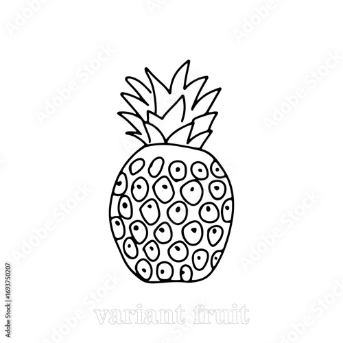 Outline coloring book for kids. theme fruits. Doodle outline various fruit collection. Cute tropical garden fruits, berries. Abstract Healthy food sketch black and white illustration.