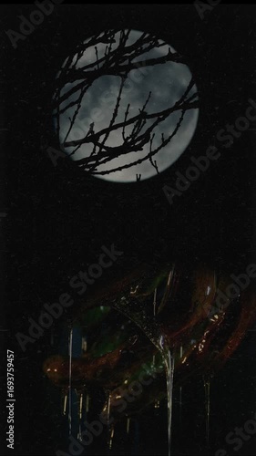 night in the forest