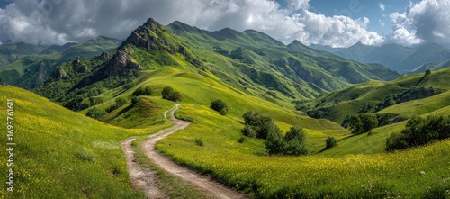 Mountainous landscape with a winding dirt road through vibrant meadows