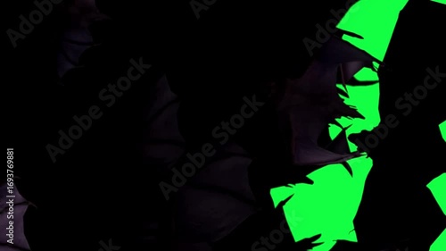 Bats flying Halloween ghost symbolic video green screen