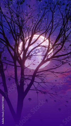 tree in the night