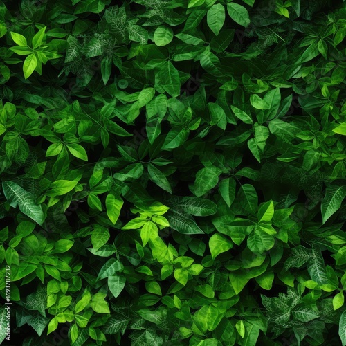 Green Lush Foliage Create Beautiful Texture Background, Natural Forest Greenery Pattern