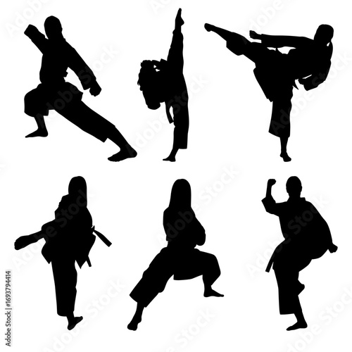 Vector set of karate women silhouettes in various martial arts stances and kicks. Perfect for combat sports, self-defense, training, martial arts posters, and minimal design projects.