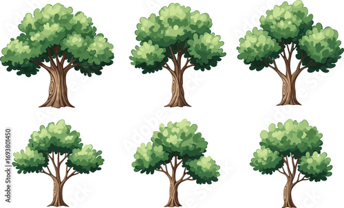 Collection of green deciduous trees, detailed foliage illustration, natural forest vector design elements, outdoor garden ecology graphics, landscape architecture planning symbols.