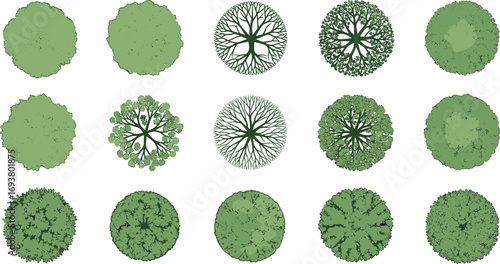 Green top view tree collection, aerial foliage design elements, detailed botanical vector illustrations, landscape architecture symbols, garden planning graphics.