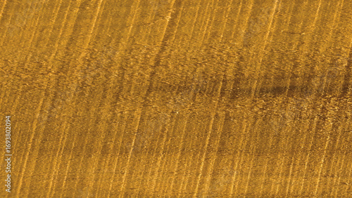 wood texture background