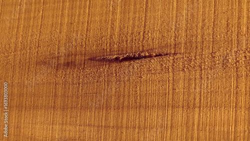 Beautiful pattern on wood texture background