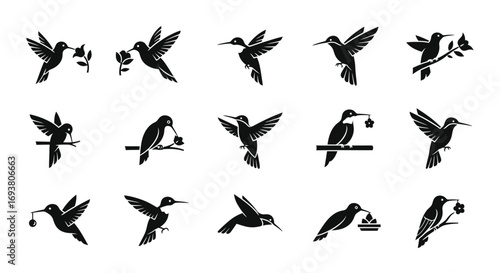 Vector art of a collection of hummingbird silhouettes in various poses, each bird is depicted with its wings spread