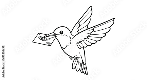 Vector art of a hummingbird carrying a letter, the bird is in flight with its wings spread, delivering mail