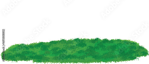 Simple Green Grass Patch Illustration