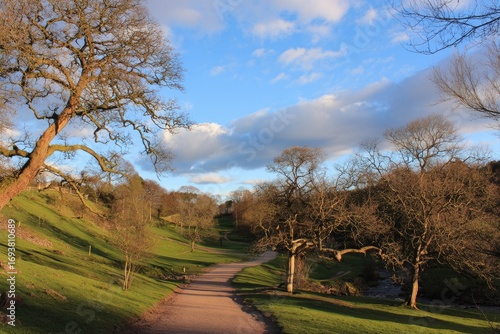 Sunlit path winds through a park, bare trees frame a gentle valley
