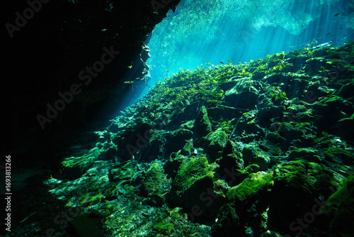 Sun rays piercing the water at Nicte Ha Cenote in the Yucatan Peninsula, Mexico