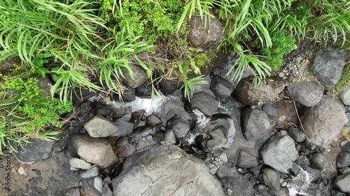 Gentle stream flowing between rocks and flourishing greenery alongside the riverbank pristine