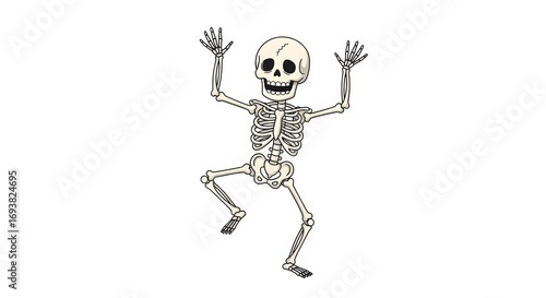 A cheerful cartoon skeleton with its arms raised in a playful, dancing pose against a white background.
