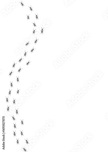 Ant trail. Walking group of black insects. Line of worker ants marching in search of food. Curve footpath of home pest isolated on transparent background. Vector