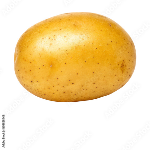 Single Yellow Potato on Transparent Background