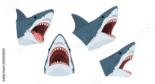 Fierce great white shark heads showing teeth ready to bite for marine life theme