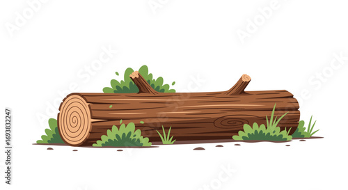 A fallen timber lying in the forest floor surrounded by lush greenery and natural elements