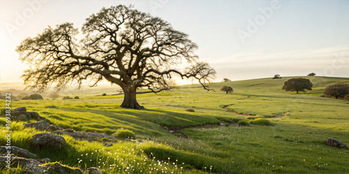 Peaceful  Countryside with Magnificent Oak Tree and Lush Green Pasture