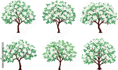 Blooming Tree Vector Set with White Flowers and Green Leaves, Botanical Spring Illustration for Nature Design, Floral Art and Seasonal Concepts