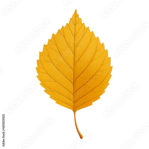 Single yellow autumn leaf on black background illustration