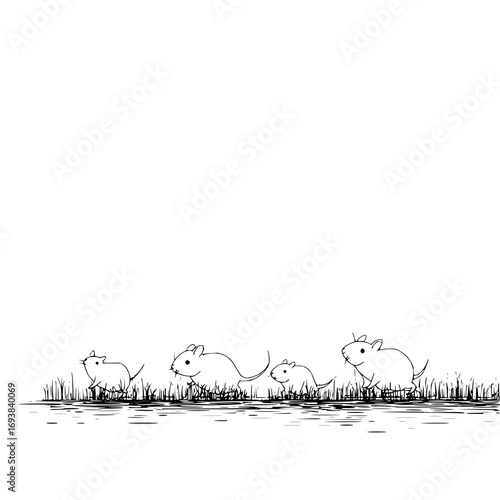 Cute mice mouse animal rodent illustration drawing sketch line art wildlife nature field grass black and white art