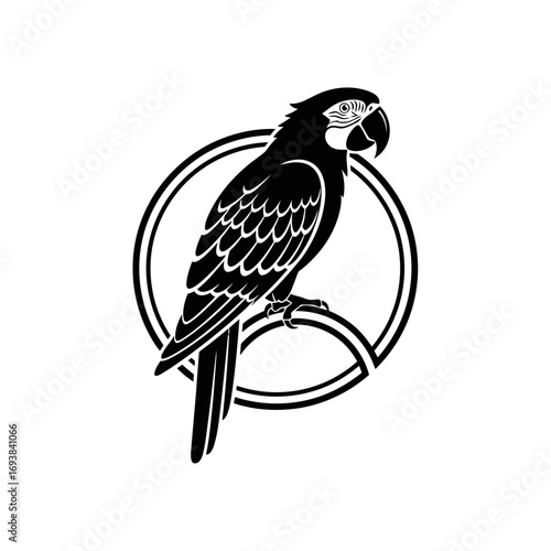 bird on a branch
