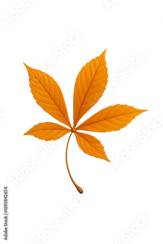 Isolated autumn leaf in golden color on black background