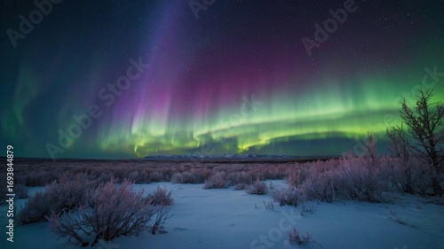 Wallpaper Mural Majestic aurora borealis illuminating a snowy landscape with distant mountains under a starry sky Torontodigital.ca
