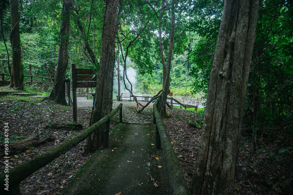Fototapeta premium Serene Pathway through Lush Greenery near Hot Springs in Chiang Mai